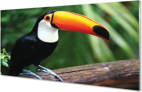 Panel szklany do Kuchni Tukan: Symbol Tropików