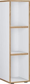 Półki Książki Folder Plik Shelf Salia 3f