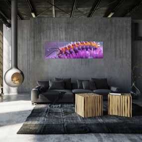 Obraz - Caterpillar (170x50 cm)