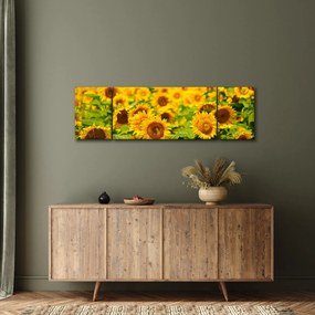 Obraz - Słoneczniki (170x50 cm)