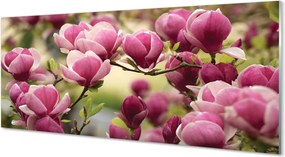 Panel Kuchenny Szklany Kwitnące Drzewa Owocowe