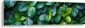 Obraz - Rośliny zielone (170x50 cm)