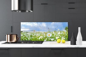 Panel Kuchenny Dywan Białych Stokrotek