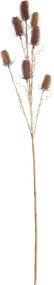 Oset Ozdobny 110cm red beige