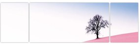 Obraz - Różowy sen (170x50 cm)