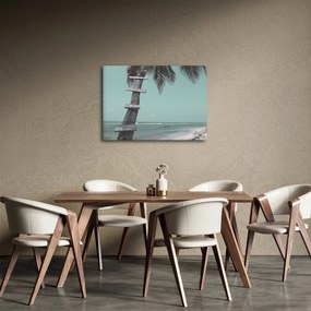 Obraz - Palma na Karaibach (70x50 cm)