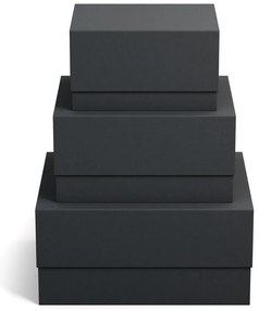 Kartonowe pojemniki z pokrywką zestaw 3 szt. Ilse – Bigso Box of Sweden