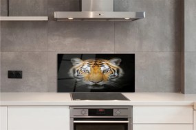 Panel szklany do Kuchni Portret Dzikiego Tygrysa