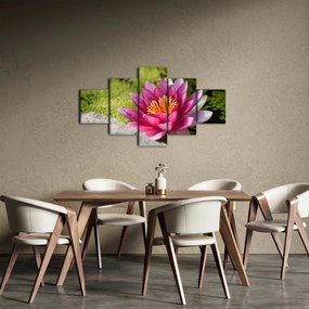 Obraz - Lilia wodna (125x70 cm)