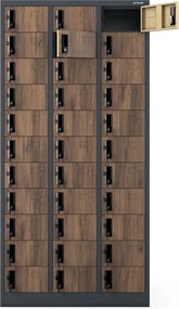 Metalowa szafa depozytowa Eco Design Oliver 90x45x185 cm, antracyt/orzech