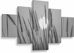 Obraz - Łąka o zachodzie słońca (125x70 cm)