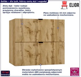Szafka łazienkowa z 2 szufladami złoty dąb 60cm - Olia 10X