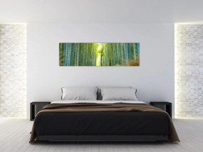 Obraz - Las bambusowy (170x50 cm)