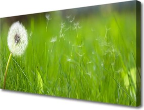 Obraz na płótnie Lekkość Lata: Dmuchawiec