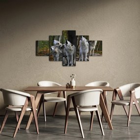 Obraz - Wilki na skale (125x70 cm)