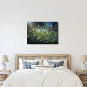 Obraz na szkle - Magiczna noc (70x50 cm)