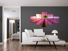 Obraz pola z lawendą (125x70 cm)