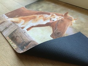 Wycieraczka Deco Star Przyjaciele 40 cm x 60 cm