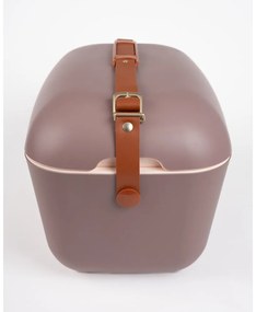 Brązowy pojemnik chłodzący 12 l Classic Gold – Polarbox