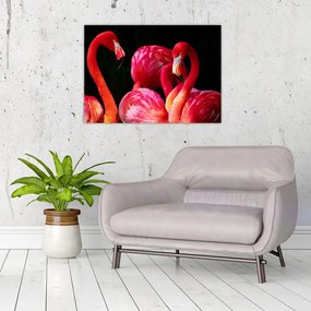 Obraz czerwonych flamingów (70x50 cm)