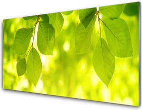 Panel Kuchenny Zielone Liście W Stylu Modern