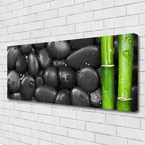 Obraz canvas Świeżość Bambusa w Spa