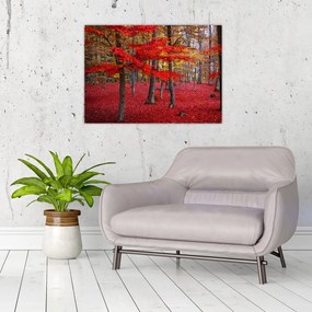 Obraz - Czerwony Las (70x50 cm)