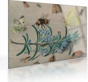 Obraz na szkle - Jan van Kessel the Elder, Insects and a Sprig of Rosemary, reprodukcje (70x50 cm)