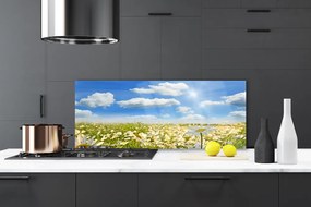 Panel Szklany Białe Stokrotki w Zieleni