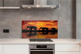 Panel szklany do Kuchni Słonie nad Wadą o Zachodzie