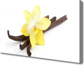 Obraz canvas Egzotyczny Kwiat Wanilii