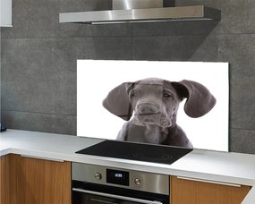 Panel szklany do Kuchni Portret Brązowego Psa