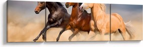 Obraz - Dzikie konie (170x50 cm)