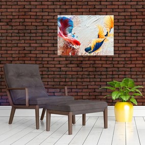 Obraz na szkle - Ryby bojowniki (70x50 cm)