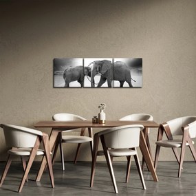 Obraz - czarno - białe słonie (z zegarem) (90x30 cm)