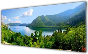 Szkło Ozdobne do Kuchni Panorama Alpejskiej Natury