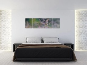 Obraz - Szczegół trawy (170x50 cm)