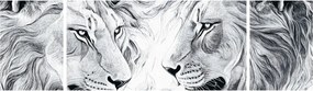 Obraz - Rysowane lwie głowy (170x50 cm)