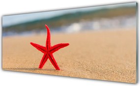 Szkło Dekoracyjne do Kuchni Rozgwiazda Na Ciepłym Piasku