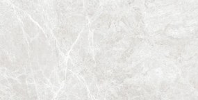 Mexen Lizard Silver gres szkliwiony rekt. G1, płytka podłogowo-ścienna 120 x 60 cm, połysk - TL109-120-060-03