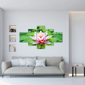 Obraz lilii wodnej na powierzchni (125x70 cm)