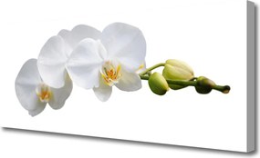 Obraz na płótnie Dekoracyjny Bukiet Botaniczny