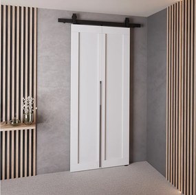 Drzwi Przesuwne QUDIO M1 Biały 70