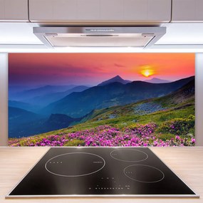 Panel Szklany Alpejska Polana Kwiatowa