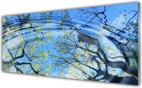 Panel Kuchenny Odbicie Lasu W Wodzie