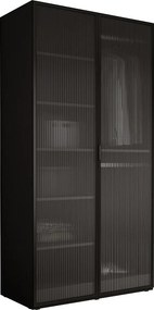 Szafka: Grafitowa czerń / Szkło ryflowane, 100 x 200 x 51 cm