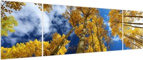 Obraz - Aspen (170x50 cm)