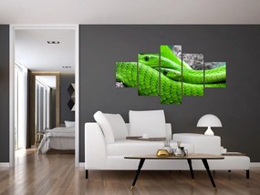 Obraz zielonych węży (125x70 cm)