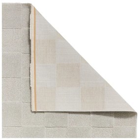 Jasnoszary dywan 200x290 cm Elio Silver – Think Rugs