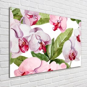 Fotoobraz na ścianę szklany Różowe orchidee